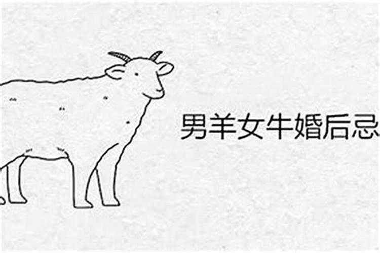 男属羊一九九年农历一月二十八日出生今年命运好不好