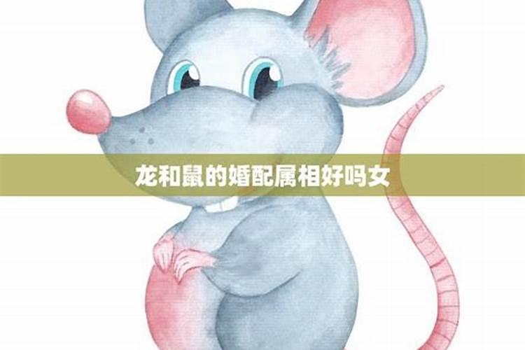 属鼠和属鼠的适合做夫妻吗 属鼠男和属鼠女相配吗