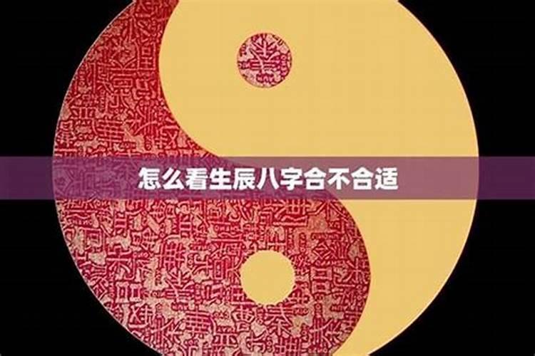 怎么算两个人的生辰八字合不合？
