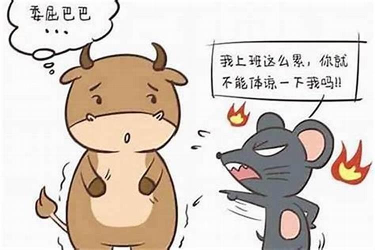重阳节的来历是什么？有什么习俗？ 爱爱