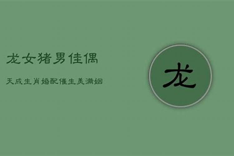 属羊女和什么属相最配