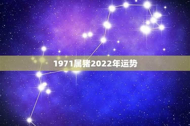 不同年份出生的属猪男女2024年运程