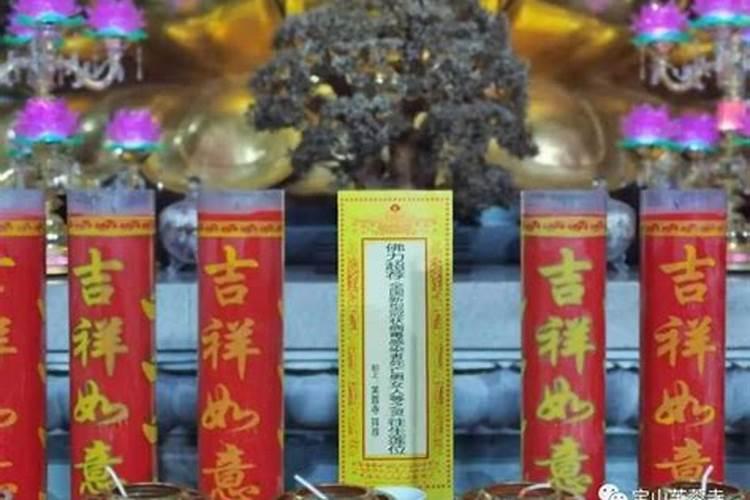 清明节前后出生的孩子有什么说法