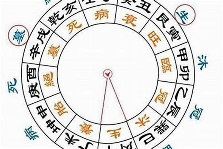 丁巳日柱大贵的八字