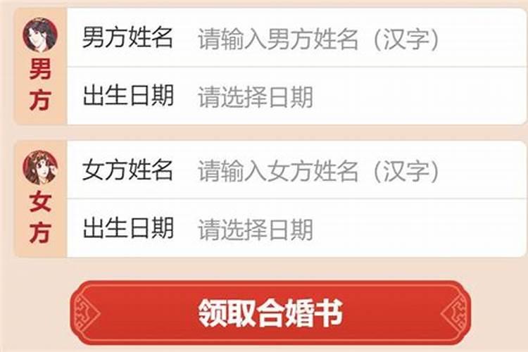 1995属猪女的一生命运和事业