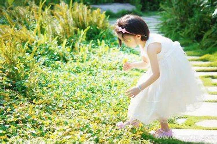 79年属羊男2025年婚姻感情怎么样