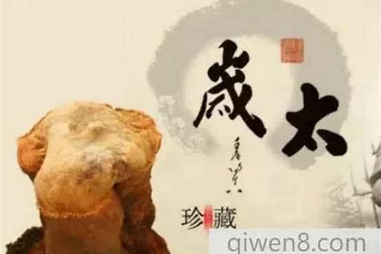 太岁是怎么样形成的？