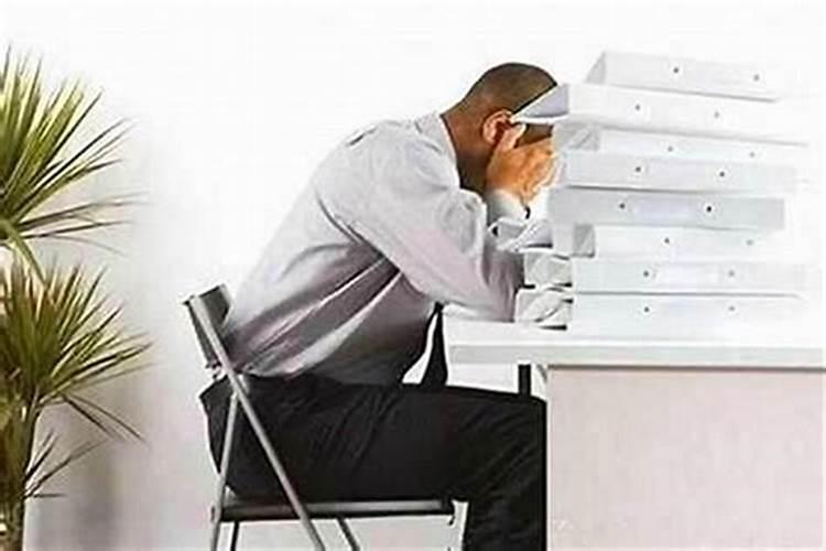 真正决定一个人命运的是什么？是性格还是智力？