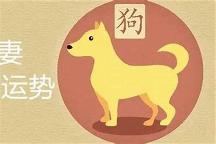 94狗跟96鼠可以结婚吗