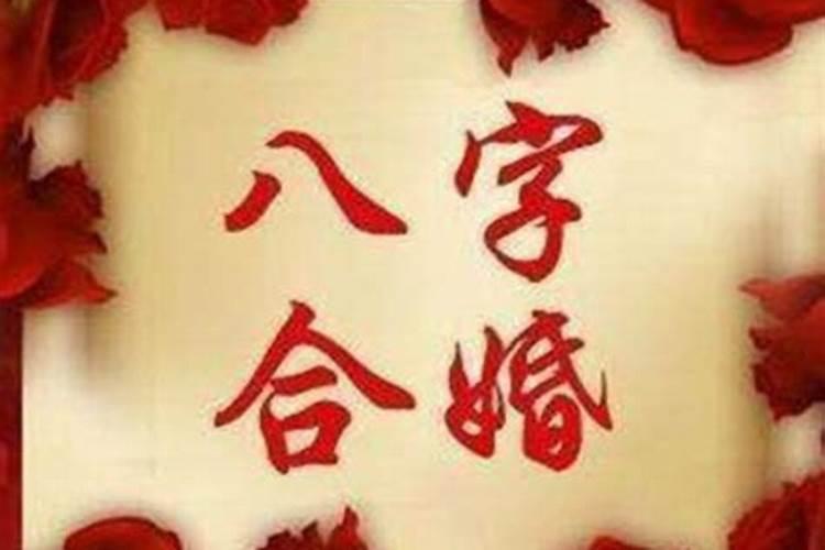 两个人八字不合结婚后会怎样