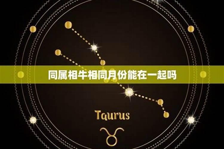 2025属龙人躲不过去的大难 2025属龙全年运势