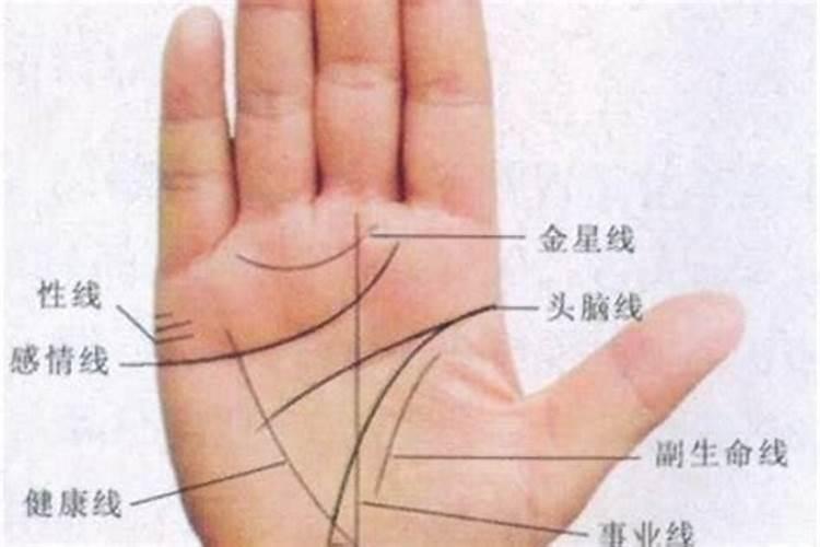 治小人绝招咒语