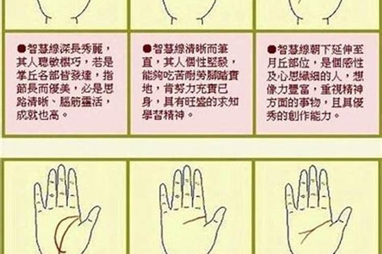女生和男生的八字测缘分:默契度84% 狐狸遇到哈士奇的关系 是什么意思啊...