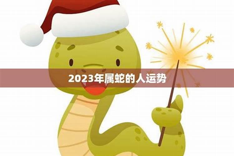 2025蛇年运势及运程
