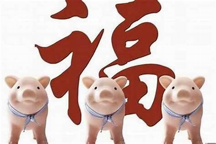大荔县周边一日游推荐