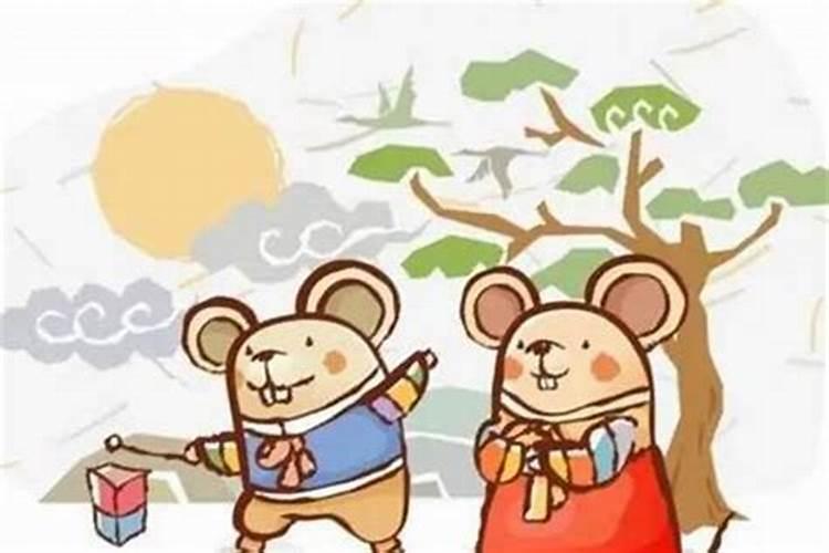96年属鼠和99年属兔配吗