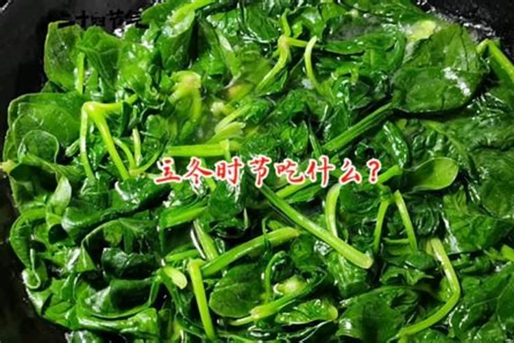 在一些风俗里立冬应该吃什么食物？