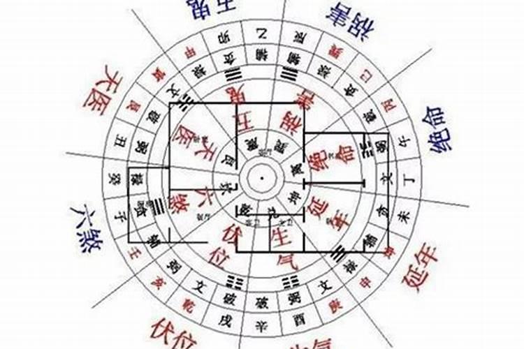 属马人2025年全年运势运程