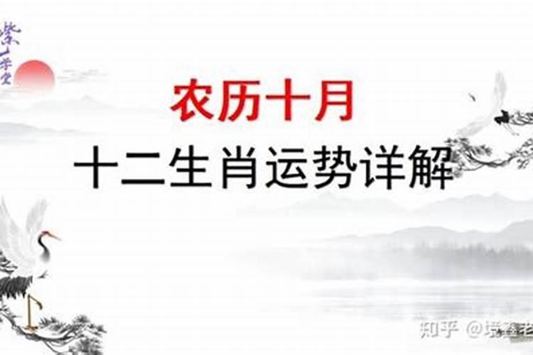 1979年农历10月初一出生得人命运如何？