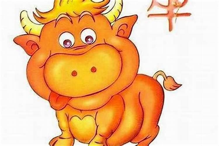 正月初一出生的是不是属兔