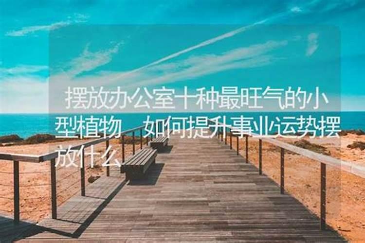 太岁究竟是植物还是动物？为何价值高达上百万？