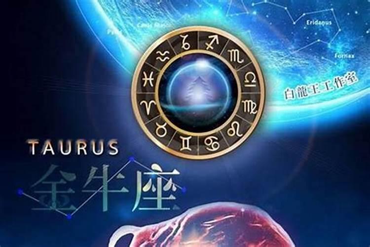 属猪今年几岁2025