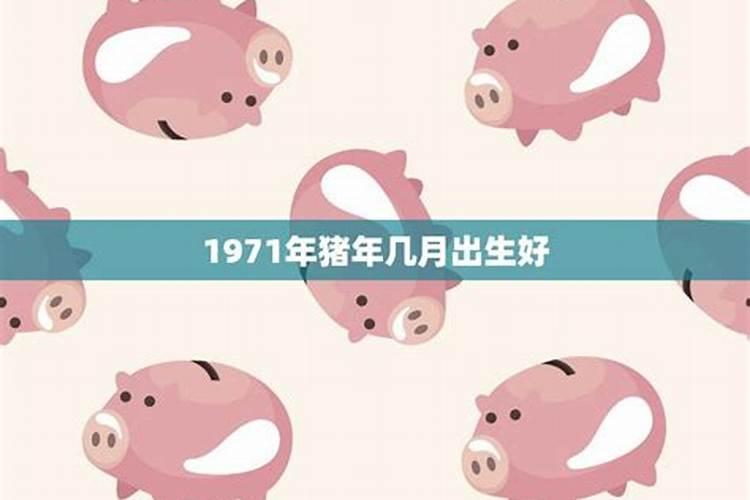 1971年农历9月属猪的经商女财运如何