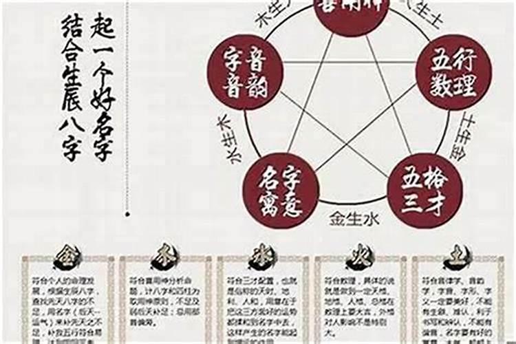 2025生肖狗的运势大全 属狗人2025年每月运势