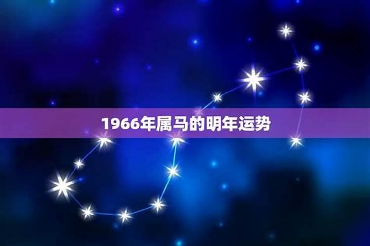 66年属马在2025年运气如何