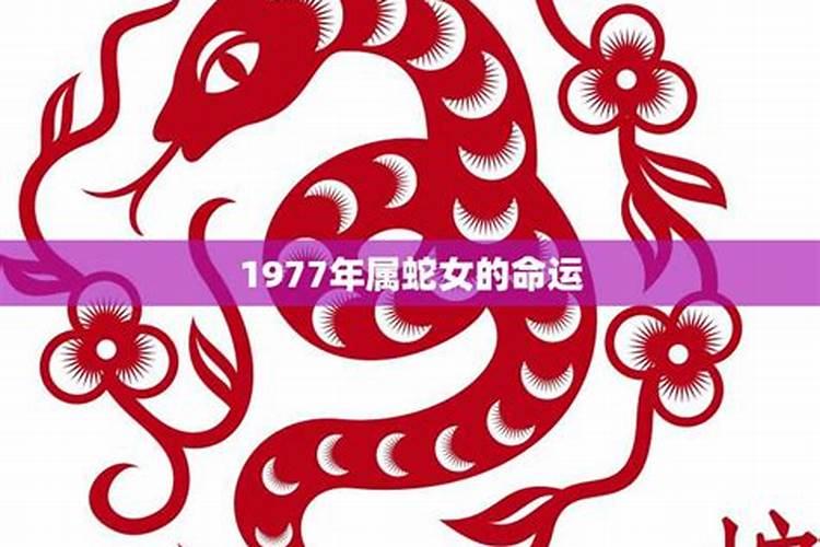 77年属蛇女人2025年每月运势运程