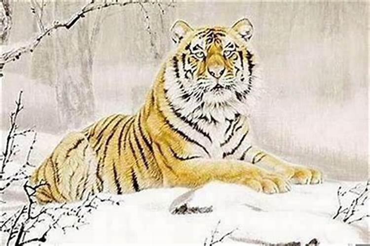犯太岁佩戴什么化解？