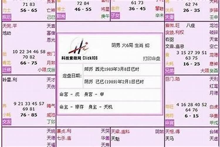 清明祭拜祖先用哪些花最好