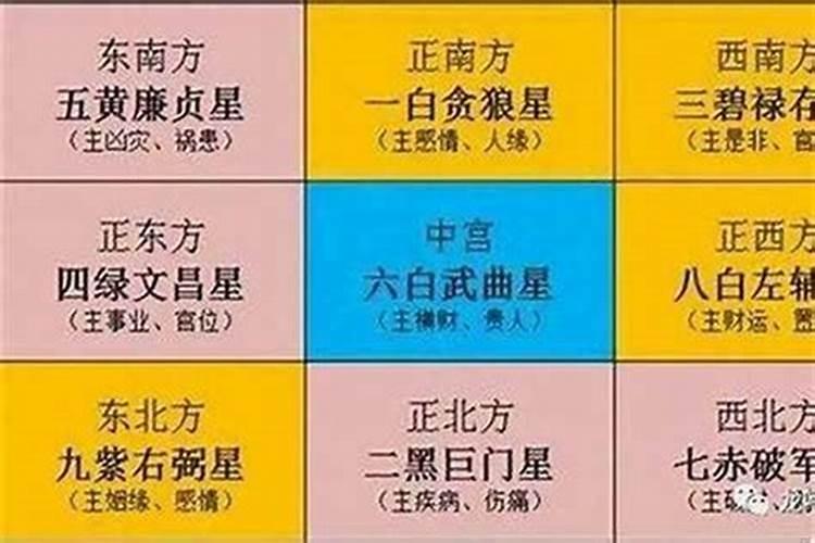 男人梦见老鼠是吉兆发财