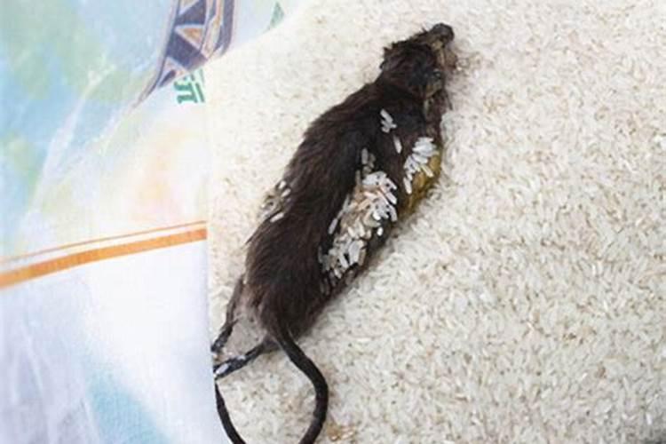 梦见奶奶和我说话是什么意思？