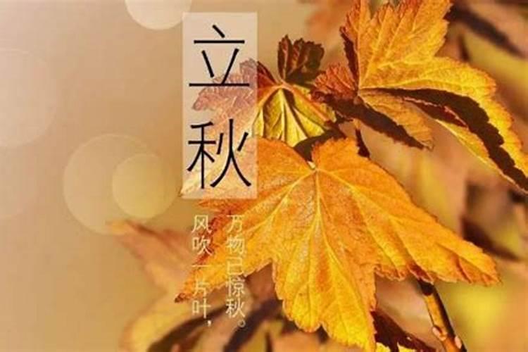 八月七日几点立秋