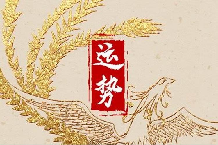 属狗有没有赌运 怎样可以提升财运