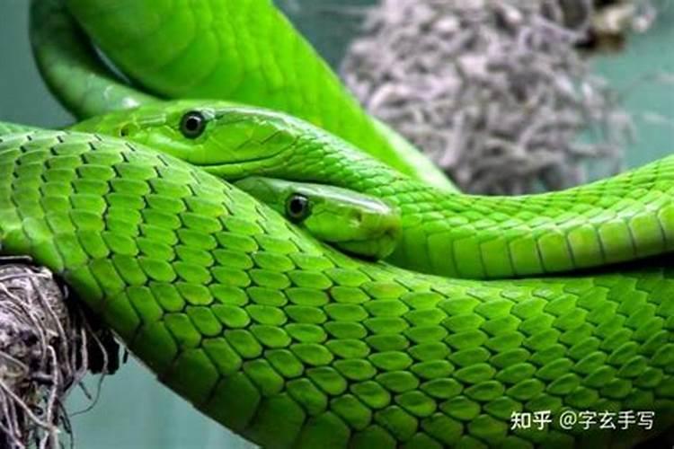 八字合婚没有时辰能算准么,不用时辰算婚姻能准吗