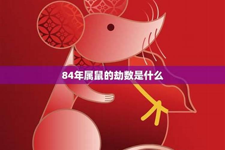 梦见死去的大哥还活着回家了
