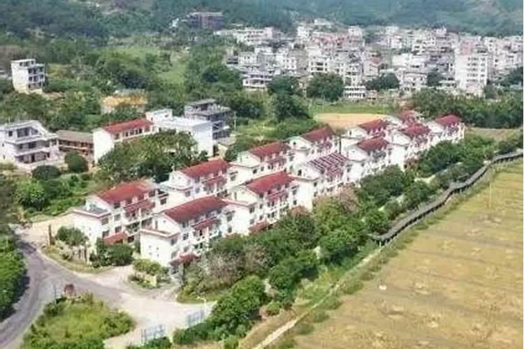 广西藤县舞狮获得过什么奖项