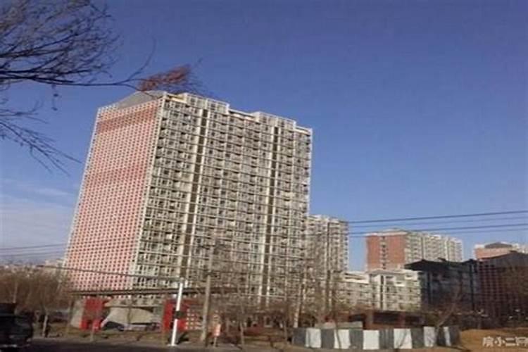 童子的孩子命运怎么样