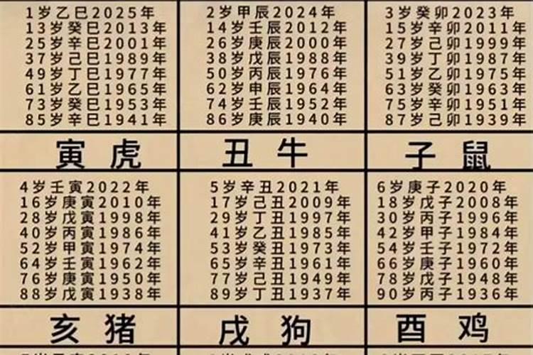 1977年蛇2025年运势