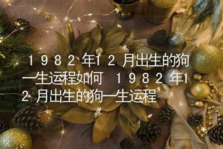 1982年属狗人一生运程