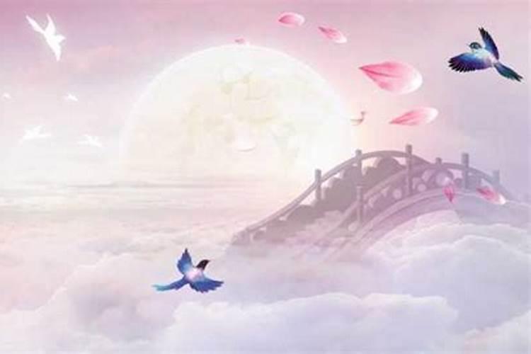 明年的情人节是几月几日？