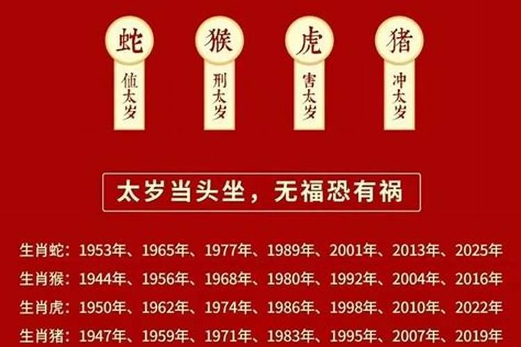 后年是什么生肖年是2025