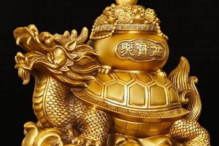 龙龟的摆放方法及禁忌,龙龟如何摆放
