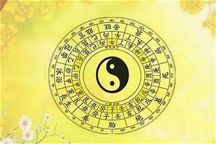 梦到前妻预示什么