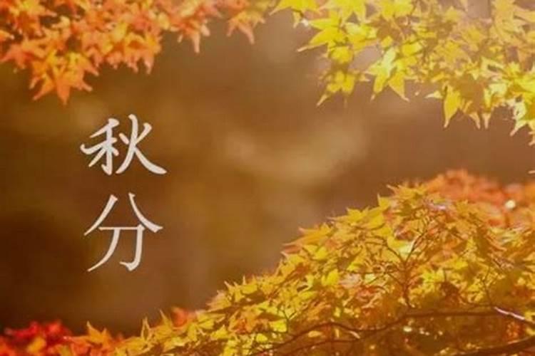 庆阳庙会时间大全