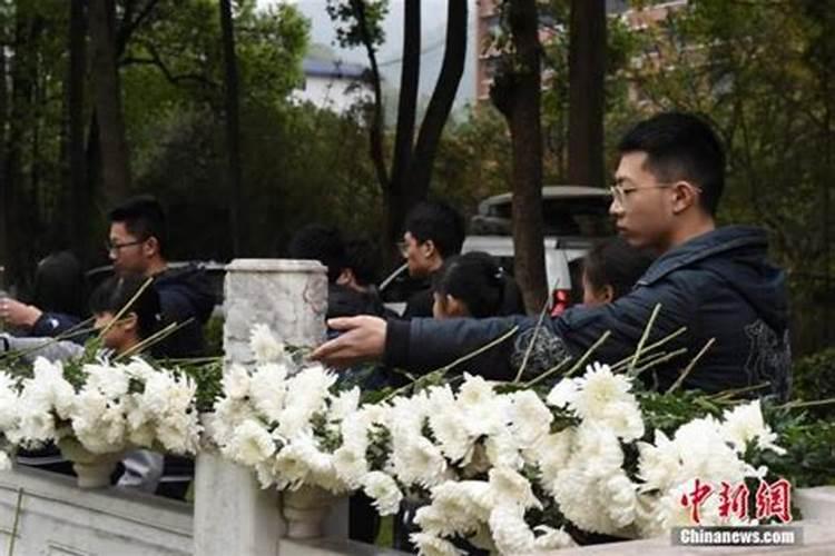 羊年十二月和鸡年十月结婚合吗？
