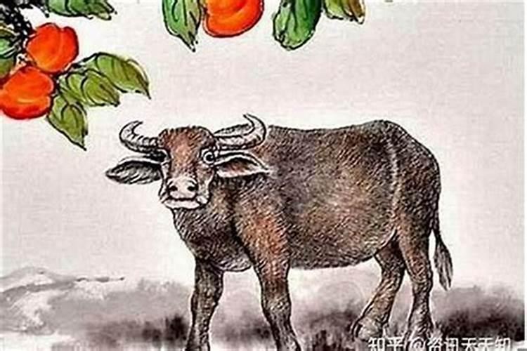 1973年属牛人每月运势 下半年各个月运势详解？