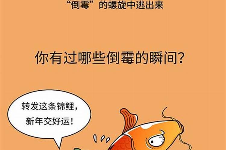 属蛇的年龄对照表